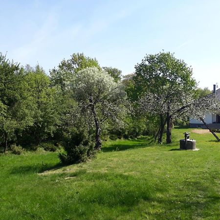 Villa Happiness Country Retreat Bubel Esterno foto